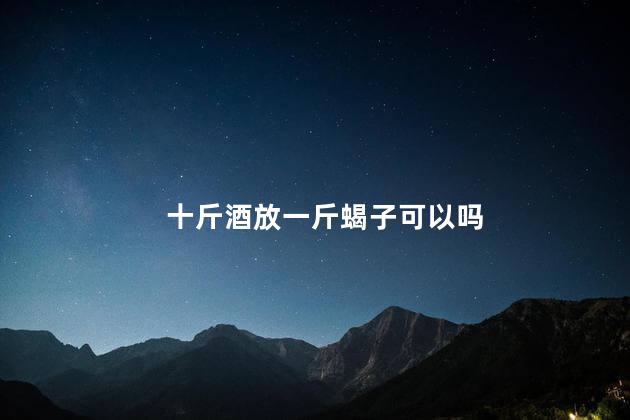 十斤酒放一斤蝎子可以吗