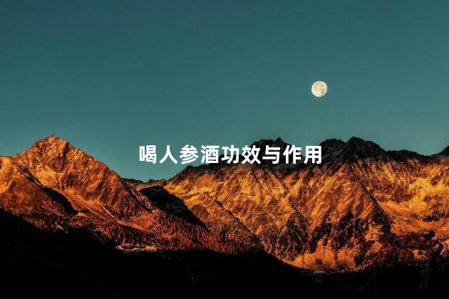 喝人参酒功效与作用