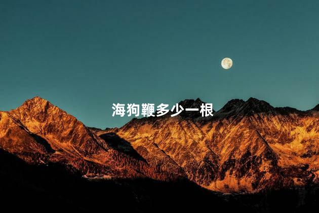 海狗鞭多少一根