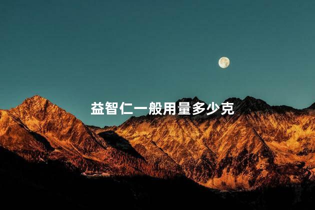 益智仁一般用量多少克