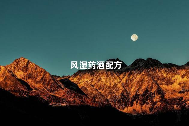 风湿药酒配方
