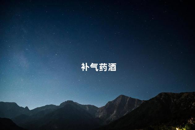补气药酒
