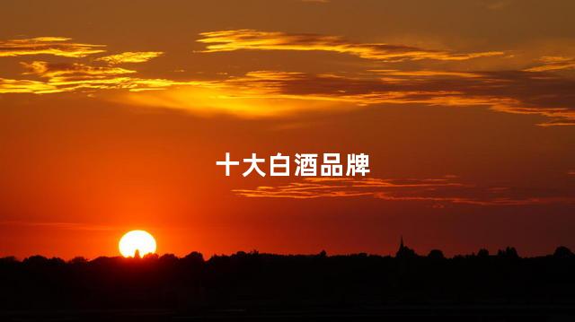 十大白酒品牌