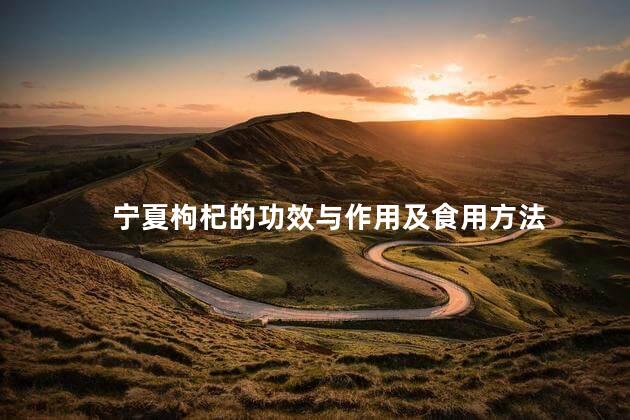 宁夏枸杞的功效与作用及食用方法