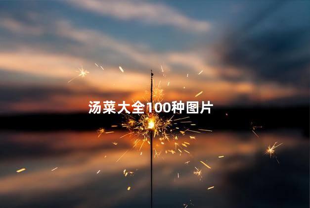 汤菜大全100种图片