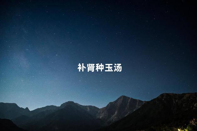 补肾种玉汤