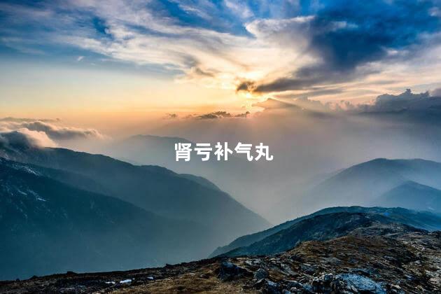 肾亏补气丸