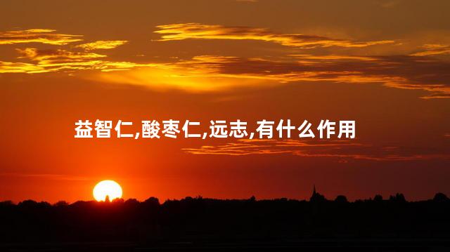 益智仁,酸枣仁,远志,有什么作用
