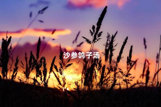 沙参鸽子汤