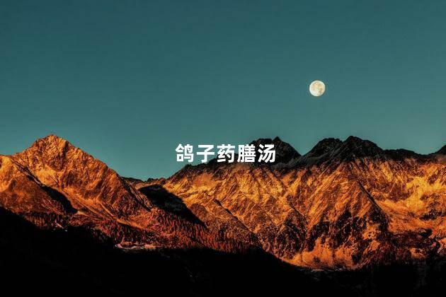 鸽子药膳汤