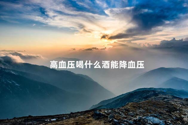 高血压喝什么酒能降血压