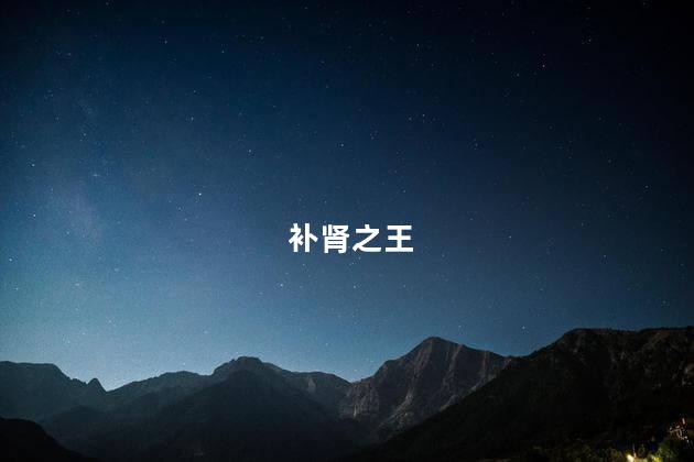 补肾之王