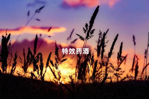 特效药酒