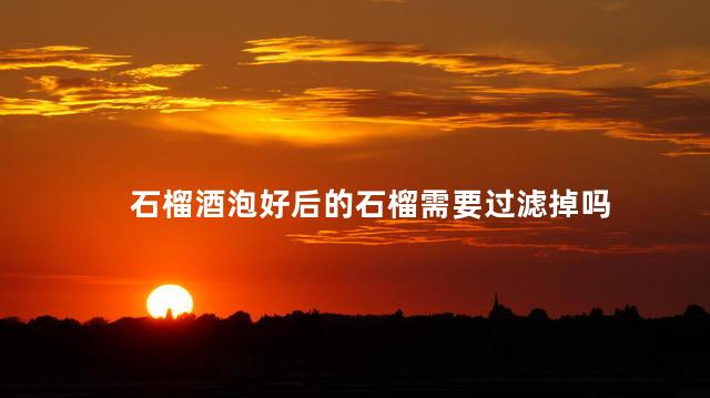 石榴酒泡好后的石榴需要过滤掉吗