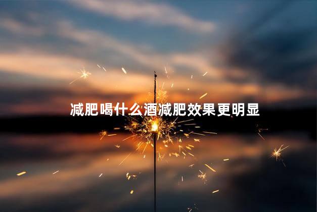 减肥喝什么酒减肥效果更明显