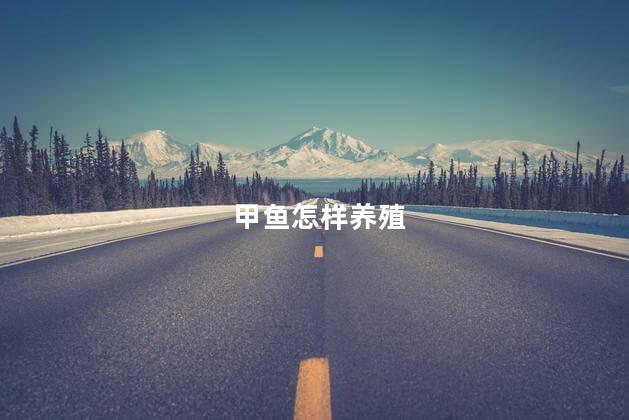 甲鱼怎样养殖