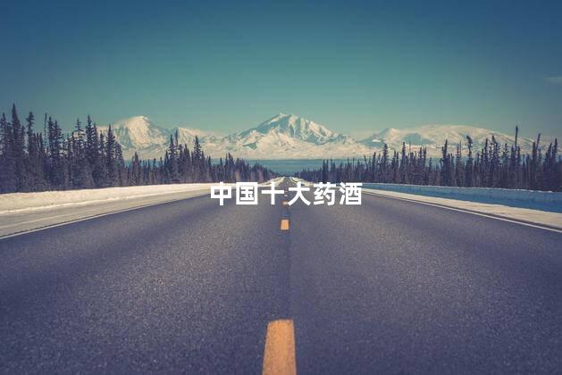中国十大药酒
