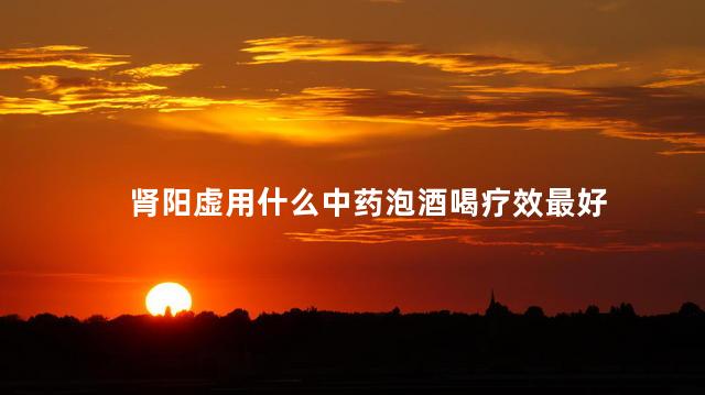 肾阳虚用什么中药泡酒喝疗效最好