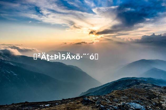 药材牛鞭汤的做法大全