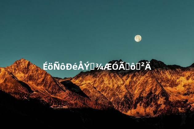 肾阳虚泡药酒用什么药材