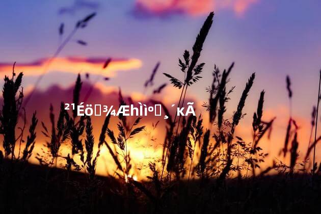 补肾药酒一天喝几次好