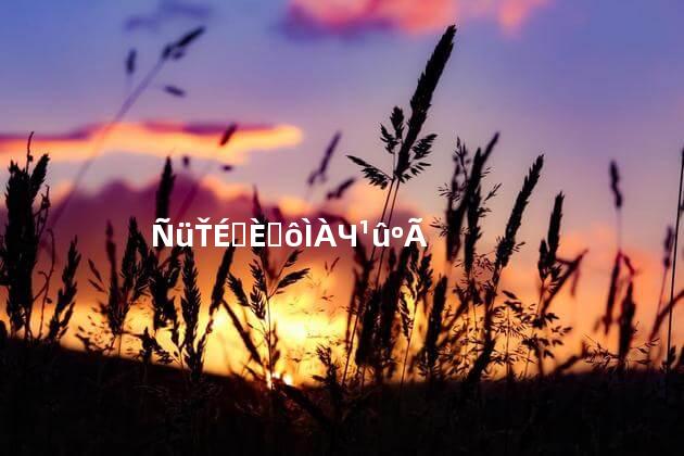 腰扭伤喝什么汤效果好