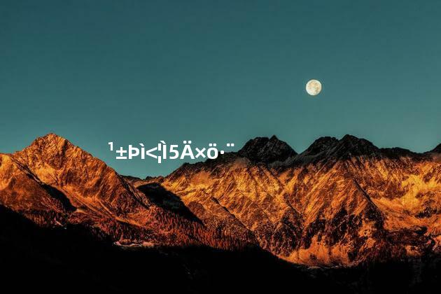 鹿鞭炖鸡汤的做法