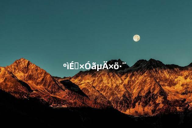 红烧甲鱼的做法