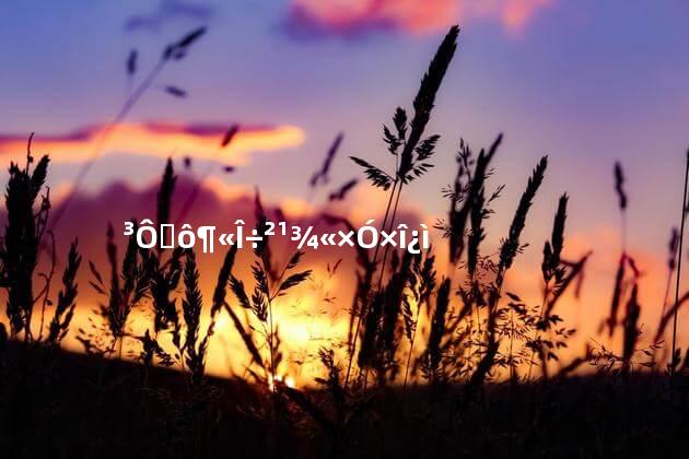 吃什么东西补精子最快